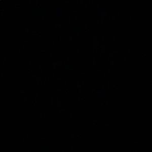 Meet your Posher, Don